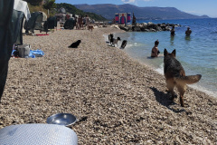 IMG_20260826_112522