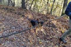 1_405975391_1102679527773768_1215939097768893614_n