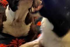 401403650_1106797264028661_5103704845207638652_n