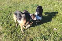 404014250_1097429361632118_8402701104852112223_n