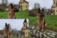 404584923_1100044168037304_7370672542853851525_n