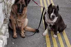 404590814_1100044111370643_2036350362488021376_n