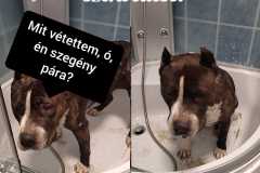 404606426_1100044078037313_822529196887705559_n