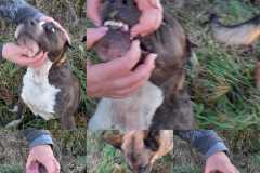 404836693_1101504497891271_5167548347306884687_n