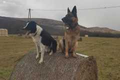 405802405_1104351420939912_1263903245778063510_n