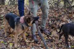 405975320_1102679397773781_7456476655729323366_n