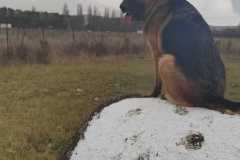 406216429_1104351517606569_6555347924308526195_n