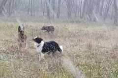 406246356_1104351604273227_4725247001777934745_n