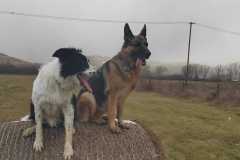 406354258_1104351477606573_8522097467837318539_n