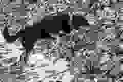 406481412_1107988550576199_1023178878079784850_n