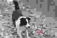 406503848_1107988403909547_9180320986550317275_n