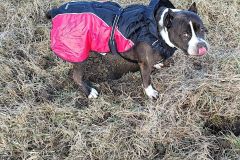 417691163_1132255441482843_3969054853996156093_n