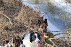 419143060_1136846854357035_1887279921906264281_n