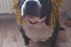 420074843_1139018784139842_1720497808297488589_n