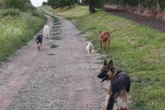FB_IMG_1583559751143