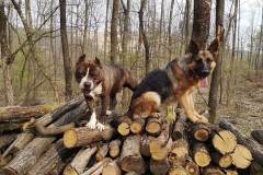 FB_IMG_1583961330123