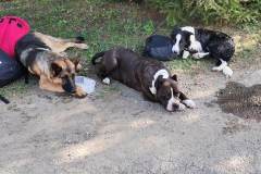 FB_IMG_1600728829788