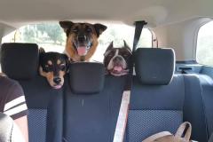 FB_IMG_1607671796664