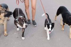 FB_IMG_1612110088855