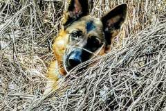 FB_IMG_1612110839013