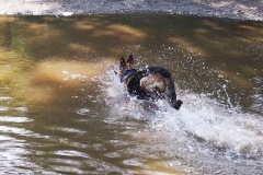 IMG_20180530_164629