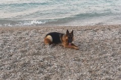 IMG_20180804_055813